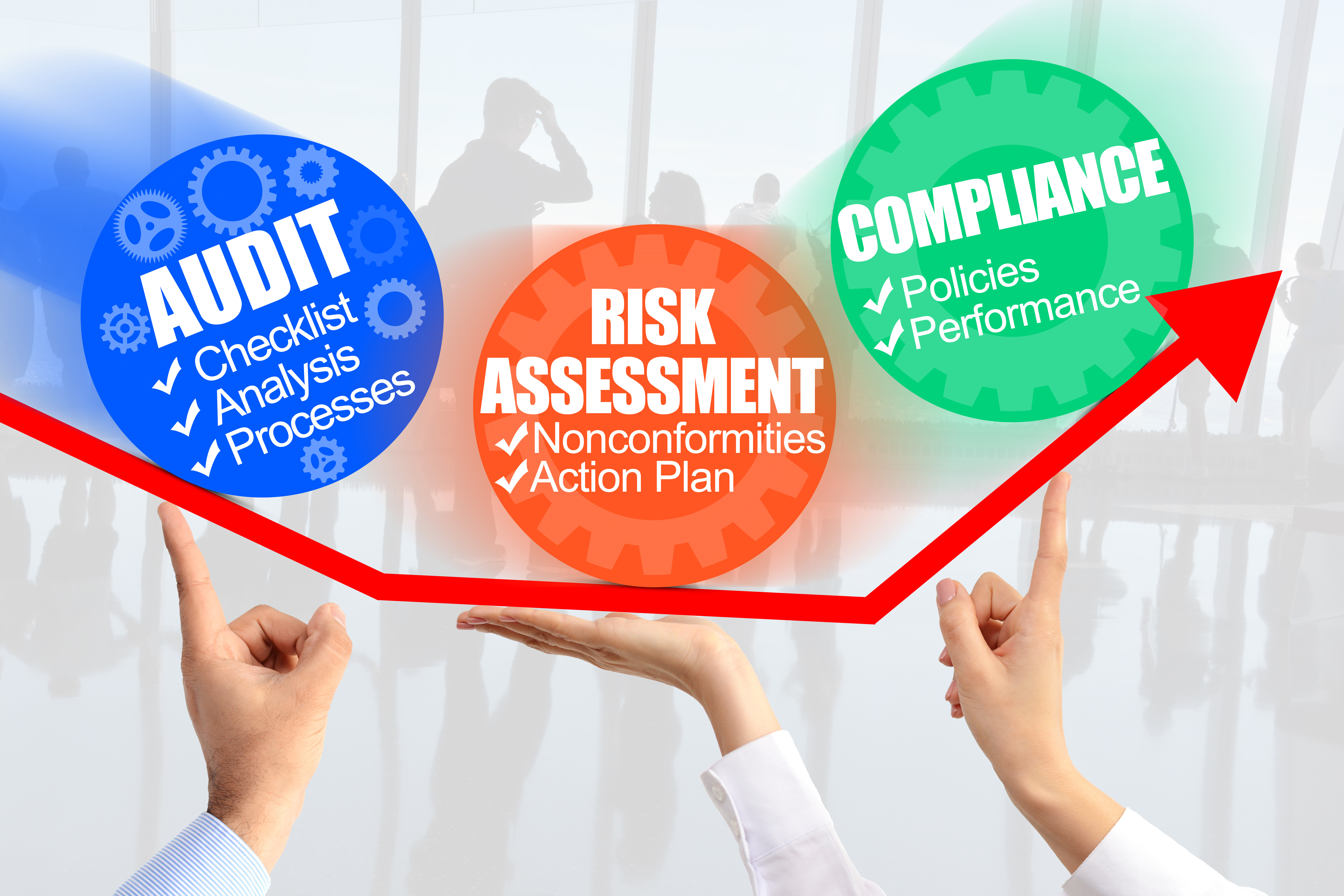 Management Systems Auditing